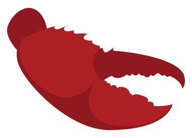 Istakoz pençesi, illüstrasyon, beyaz arkaplanda vektör.