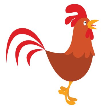 Horoz, illüstrasyon, beyaz arka plan vektör.