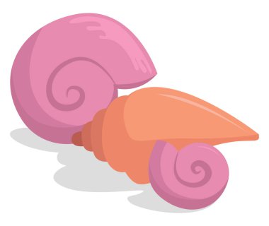 Deniz kabukları, illüstrasyon, beyaz arkaplanda vektör.