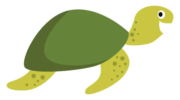 Große Schildkröte Illustration Vektor Auf Weißem Hintergrund — Stockvektor