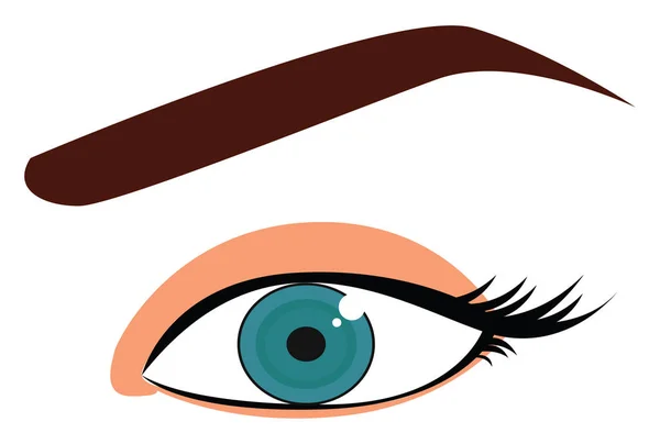 Yeux Bleus Illustration Vecteur Sur Fond Blanc — Image vectorielle