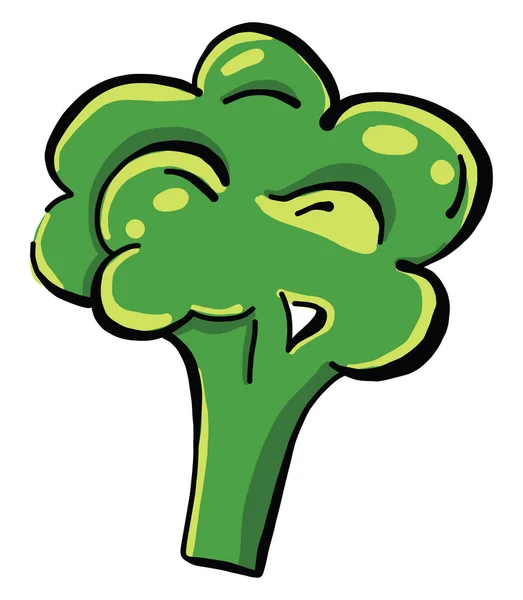 Broccoli Freschi Illustrazione Vettore Sfondo Bianco — Vettoriale Stock