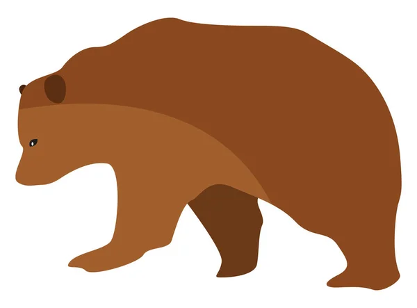 Brunbjörn Illustration Vektor Vit Bakgrund — Stock vektor