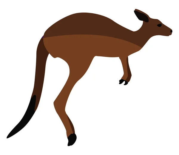 Brown Kangaroo Illustration Vector White Background — Stock Vector