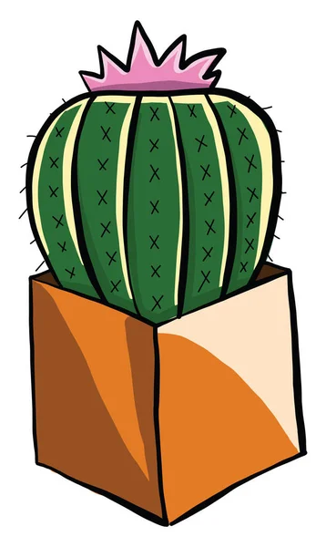 Kaktusz Virág Illusztráció Vektor Fehér Alapon — Stock Vector