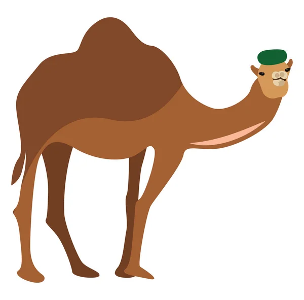 Camello Con Sombrero Ilustración Vector Sobre Fondo Blanco — Archivo Imágenes Vectoriales