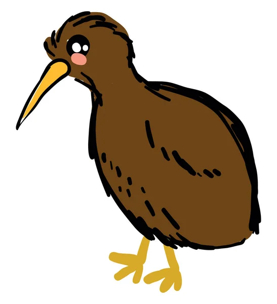 Kiwi Vogel Illustratie Vector Witte Achtergrond — Stockvector