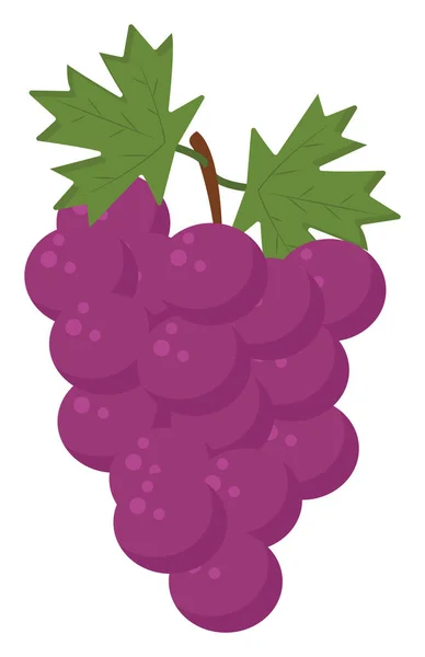 Purple Grape Illustration Vector White Background — 图库矢量图片