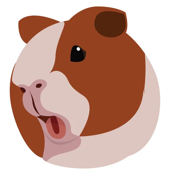 Cochon Guinée Illustration Vecteur Sur Fond Blanc — Image vectorielle
