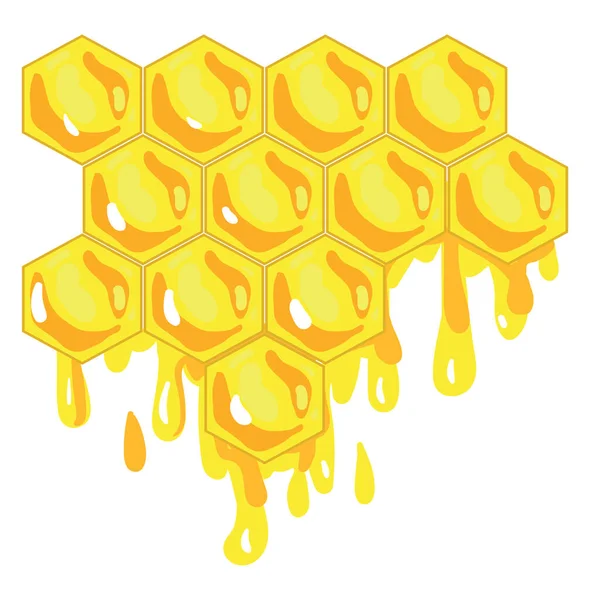 Honingraat Illustratie Vector Witte Achtergrond — Stockvector