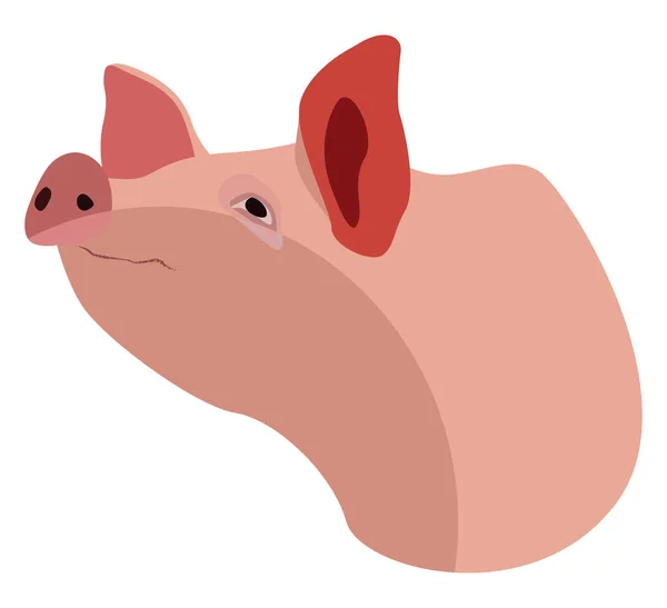 Rosa Schwein Illustration Vektor Auf Weißem Hintergrund — Stockvektor