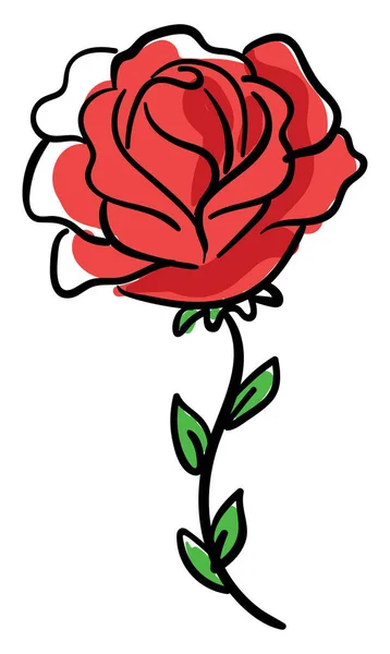 Red Rose Illustration Vector White Background — Stock Vector