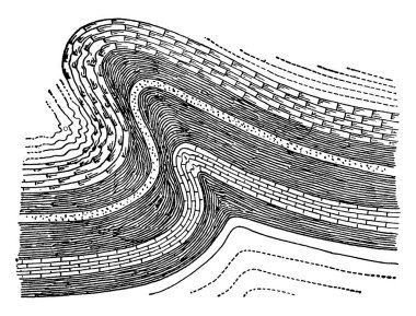 An overthrust anticline of a strata fold, a reverse fault, the rocks on the upper surface of a fault plane moved over the rocks on the lower surface, vintage line drawing or engraving illustration. clipart