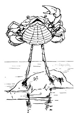 Bir rock şarkı üzerinde duran bir yengeç bu sahneyi bir yengeç ayakta su ve şarkı, vintage çizgi çizme veya oyma illüstrasyon bir kayanın üzerinde gösterir