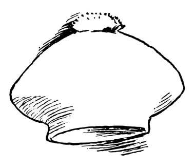 Şapka bir funky tarzı, vintage çizgi çizme veya oyma illüstrasyon gibi görünüyor.