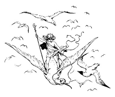 Bir martı kuşu bir kadro ile el sürme ve uçan kuşlar, vintage çizgi çizme veya illüstrasyon oyma bir çocuk