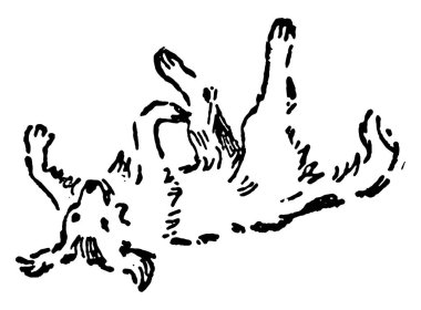 Bir köpek çizim için zemin, vintage sırtında uyku veya illüstrasyon oyma