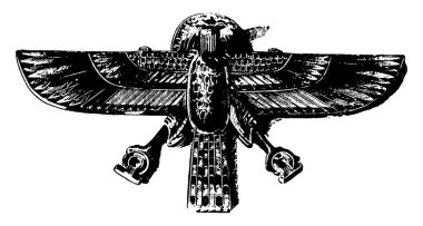 Gold Mine akbaba veya çizim veya illüstrasyon oyma altın, vintage satırındaki mine şahin.