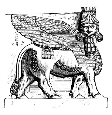Bu resim, çizim için vintage veya oyma illüstrasyon insan kafası ile kanatlı boğa.