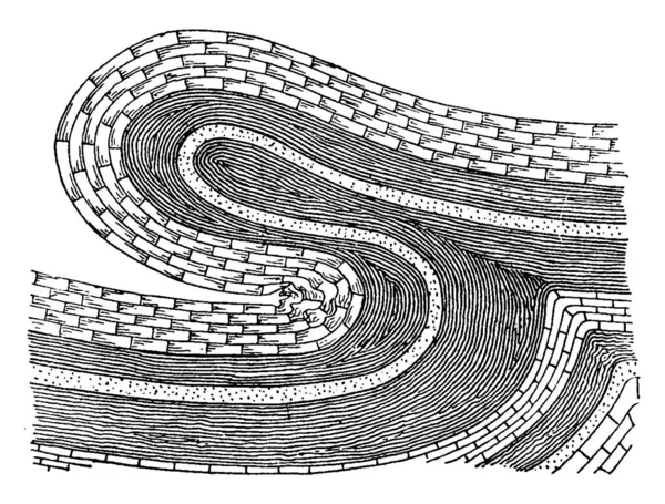 Anticline Del Overthrust Pliegue Los Estratos Una Falta Reversa Cada — Archivo Imágenes Vectoriales