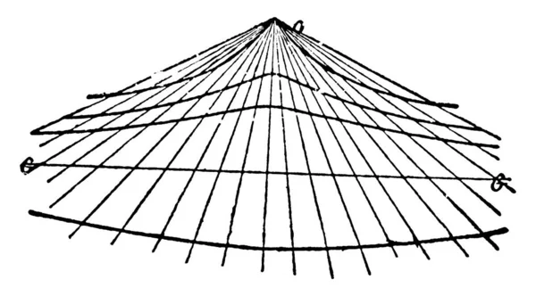 Figure Des Courbes Conchoïdales Les Conchoïdes Une Courbe Avec Pôle — Image vectorielle