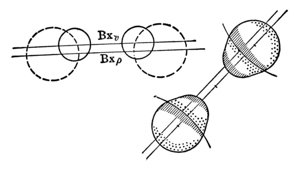 在晶体学中 它是7个晶体系统之一 图中显示的是单室晶体中的水平色散 老式线条绘图或雕刻插图 — 图库矢量图片