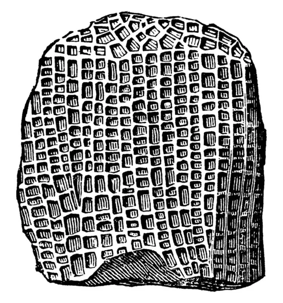 Imagen Muestra Radiación Tiene Los Pequeños Agujeros Ella Forma Irregular — Archivo Imágenes Vectoriales