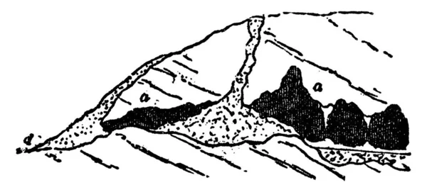 Una Representación Típica Sección Una Cueva Piedra Caliza Con Techo — Archivo Imágenes Vectoriales