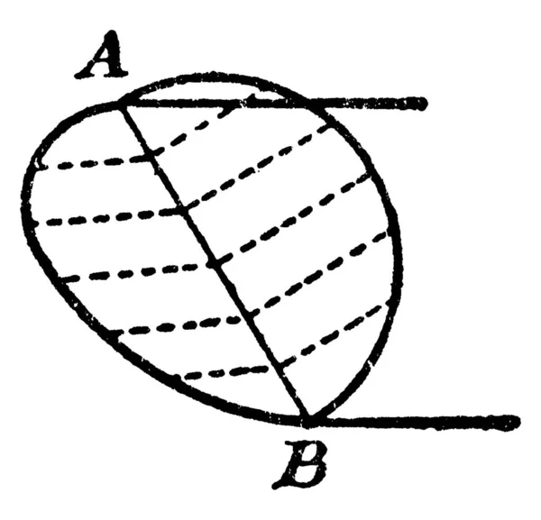 Konstrukce Elipsy Rovnoběžné Dvěma Rovnoběžkami Prvé Nakreslete Půlkruh Nakreslete Souřadnice — Stockový vektor