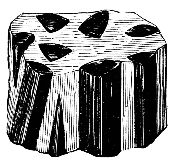 Блискучий Чорний Довгастий Камінь Показує Три Зображення Турмалінового Каменю Ньому — стоковий вектор