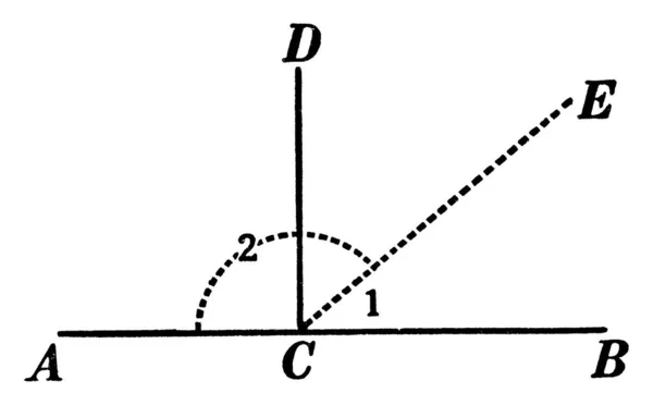 Une Illustration Montrant Les Angles Sont Complémentaires Les Angles Acd — Image vectorielle