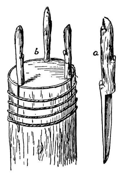 Image Montrant Comment Fait Greffe Couronne Greffe Est Épouser Deux — Image vectorielle