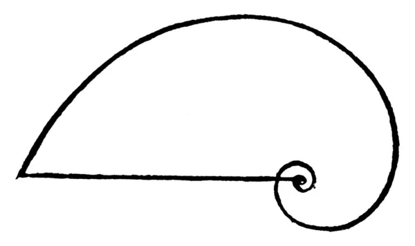 从开始到结束的螺旋形曲线按线条段 复古线条图或雕刻图解列出 — 图库矢量图片