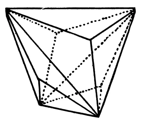 Geometrii Trigonal Dodecahedron Jest Dowolny Polihedron Dwunastoma Trójkątnymi Twarzami Vintage — Wektor stockowy