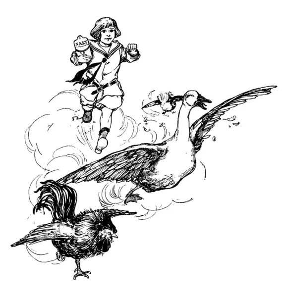 Εικόνα Απεικονίζει Ένα Μικρό Αγόρι Κυνηγούν Μια Πάπια Στα Κοτόπουλα — Διανυσματικό Αρχείο