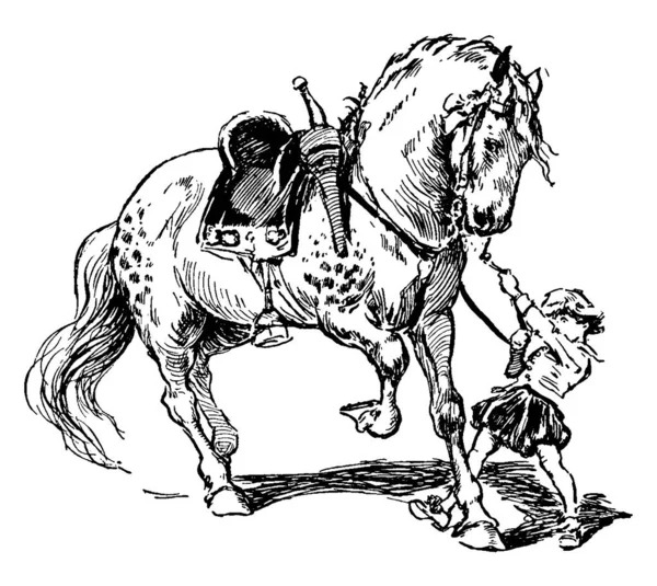 这幅画描绘的是一个男孩站在地上 牵着一匹大马的统治 画了一幅古老的线条或雕刻了一幅插图 — 图库矢量图片