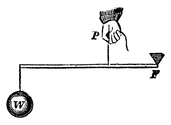 Obrázek Ukazuje Páku Třetího Druhu Ten Kterém Síla Mezi Hmotností — Stockový vektor
