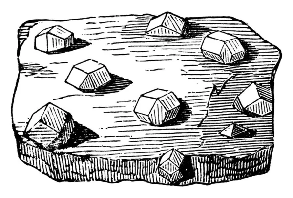 Гранат Розповсюджується Через Слюду Показує Три Різні Розміри Зображень Каменю — стоковий вектор
