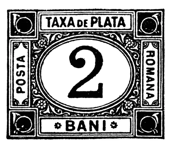 Roumania Unpaid Letter Stamp Bani 1881 Pequeno Pedaço Papel Adesivo — Vetor de Stock