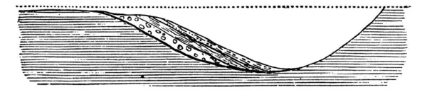 Los Depósitos Sedimentarios Sin Embargo Puede Producirse Alguna Variación Horizontalidad — Archivo Imágenes Vectoriales
