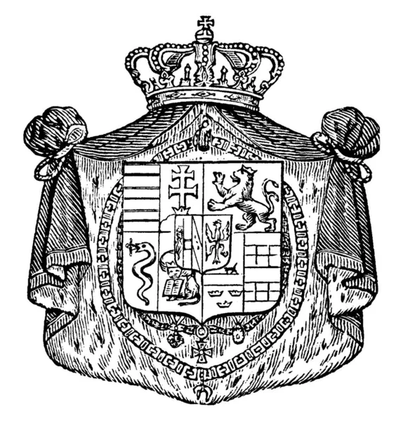 Wappen Modena Graviert Mit Pferd Schlange Krone Pluszeichen Und Vielen — Stockvektor