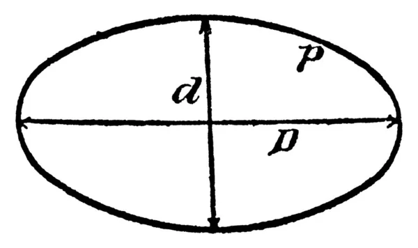 2つの焦点までの距離の合計が曲線上の各点について一定であるように 二つの焦点を囲む平面内の曲線 ヴィンテージライン図面又は彫刻図 — ストックベクタ