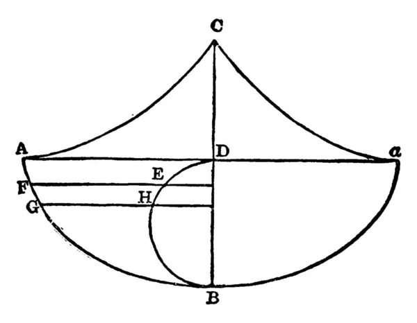 Cycloïde Est Une Courbe Géométrique Générée Par Point Sur Circonférence — Image vectorielle