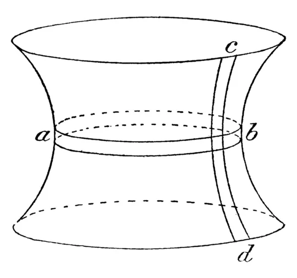 Типичное Представление Формы Поверхности Капиллярной Воды Маркировкой Частей Рисунок Винтажной — стоковый вектор