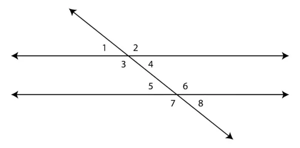 Construcción Geométrica Dos Líneas Rectas Cortadas Por Una Transversal Los — Archivo Imágenes Vectoriales
