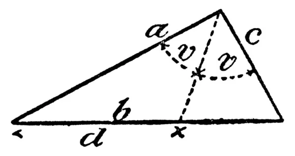 Visar Modell Geometriska Proportioner Triangel — Stock vektor