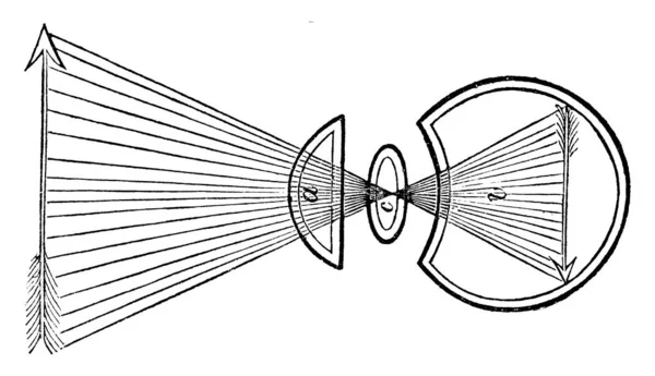 在穿过晶体时 光线互相交叉的结果 玻璃体幽默 老式线条画或雕刻插图 — 图库矢量图片