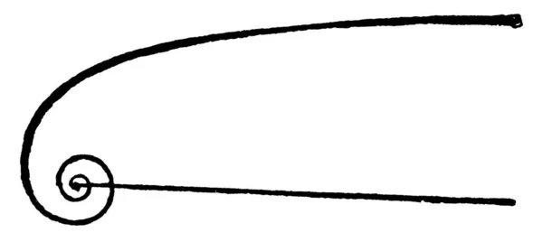 Spirálová Křivka Vzdáleností Začátku Konce Zmíněna Úsečkou Čáry Výkresem Nebo — Stockový vektor
