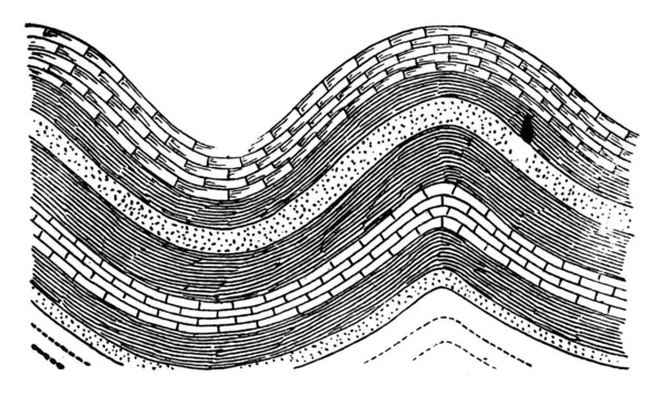 以槽的形式向下折叠的地层 如在A处 背斜是以拱形的形式向上折叠的地层 如在B处 老式线条画或雕刻插图 — 图库矢量图片