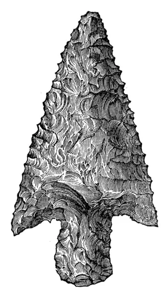 Flecha Cabeza Pedernal Neolítico Nueva Edad Piedra Una Punta Generalmente — Archivo Imágenes Vectoriales
